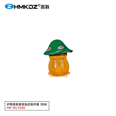 IP網(wǎng)絡(luò)有源草地式揚(yáng)聲器 30W 型號(hào)：MK-WLYS40